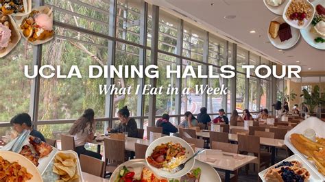 ucla dining hours|ucla dining hours of operation.